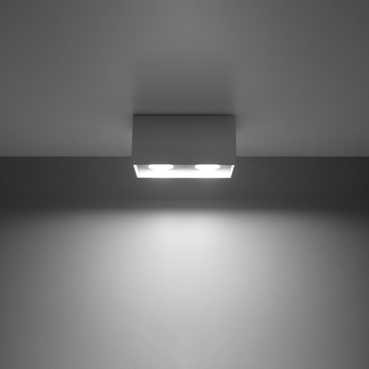 Plafonnier Aluminium Gris GU10 2 Quad gris, EDEN