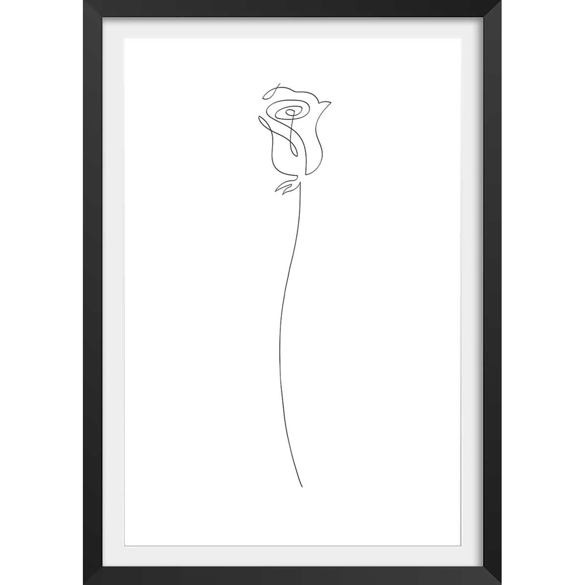 Affiche Bouton de rose Croquis affiche + cadre en bois - noir, HEXOA