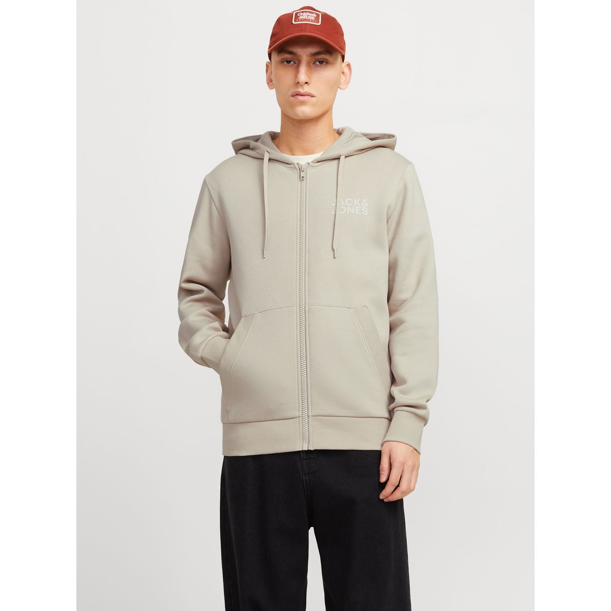 Sweat À Capuche moonbeam, JACK & JONES