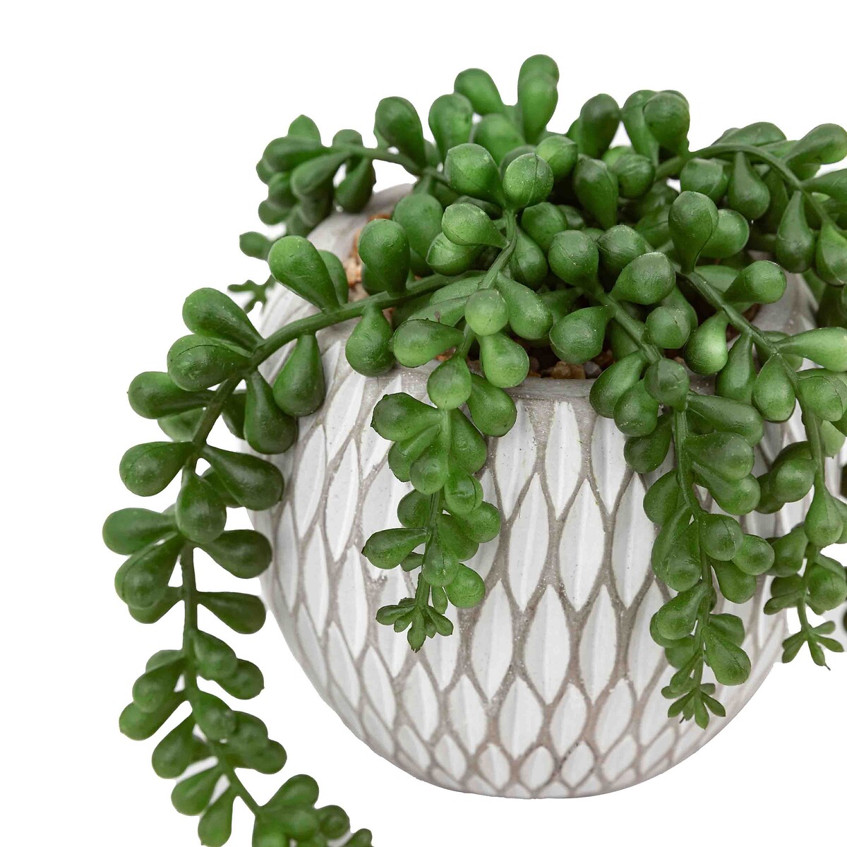 Set of 3 Small Succulents in Ceramic Pots natural, ÉDITÉ