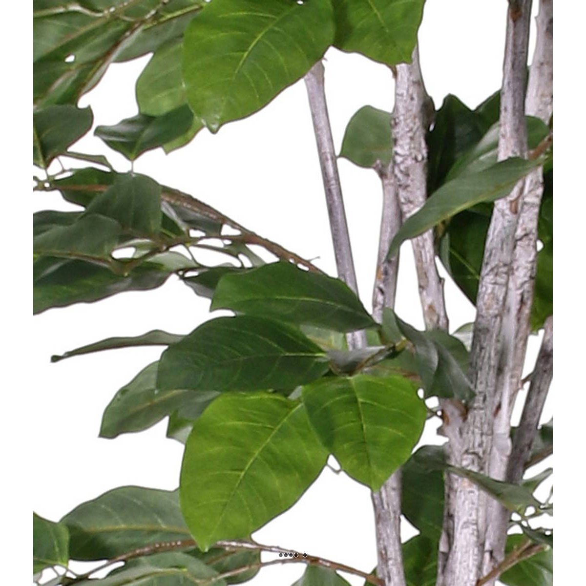 Figuier des Banyans artificiel 180 cm vert, ARTIFICIELLES