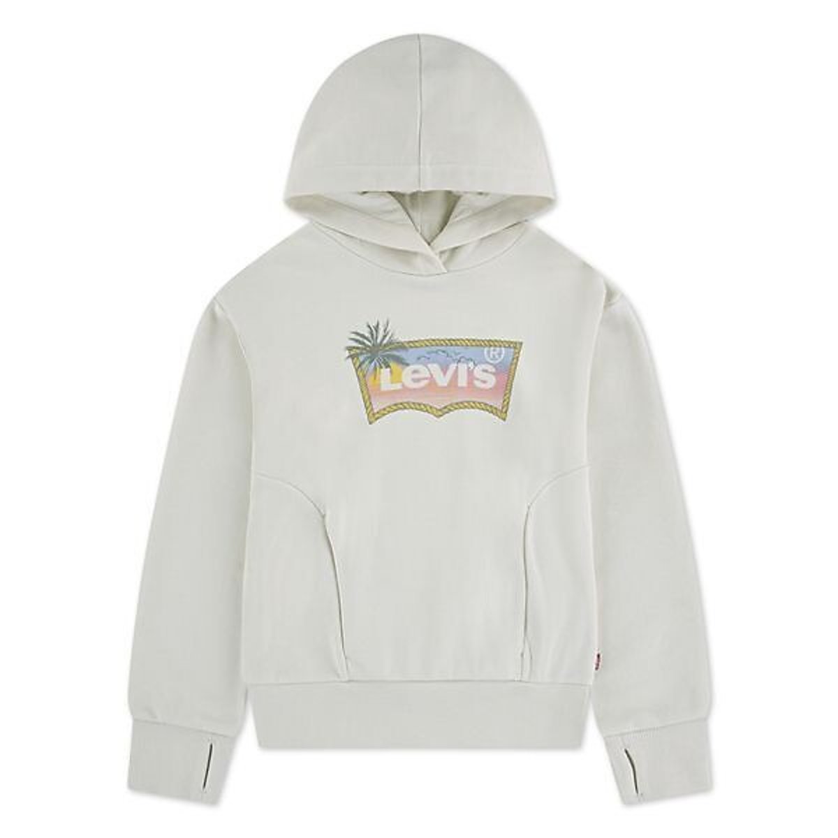 Sweat à capuche en molleton, logo devant ecru, LEVI'S KIDS