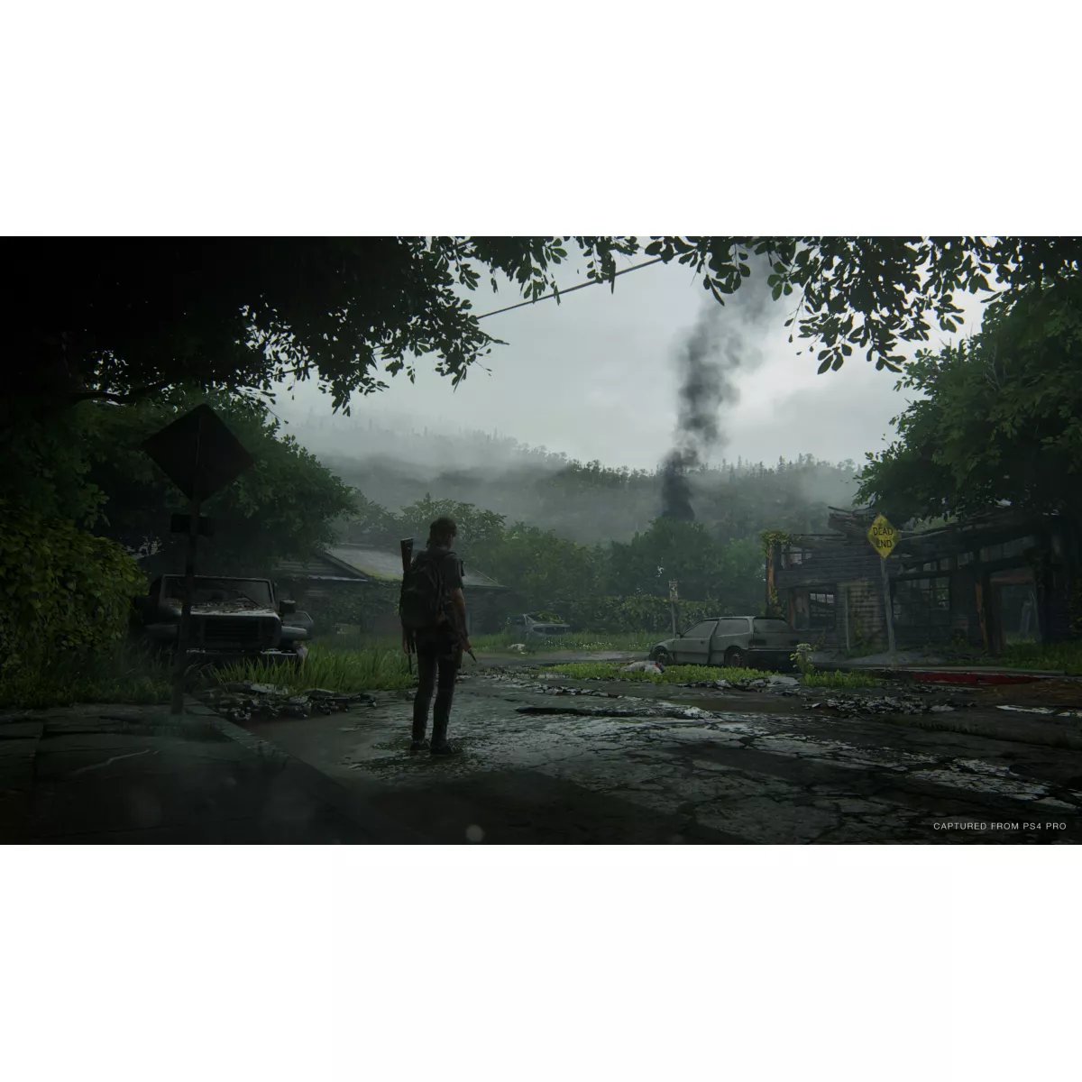 Jeu Ps4 The Last Of Us 2 couleur unique, SONY