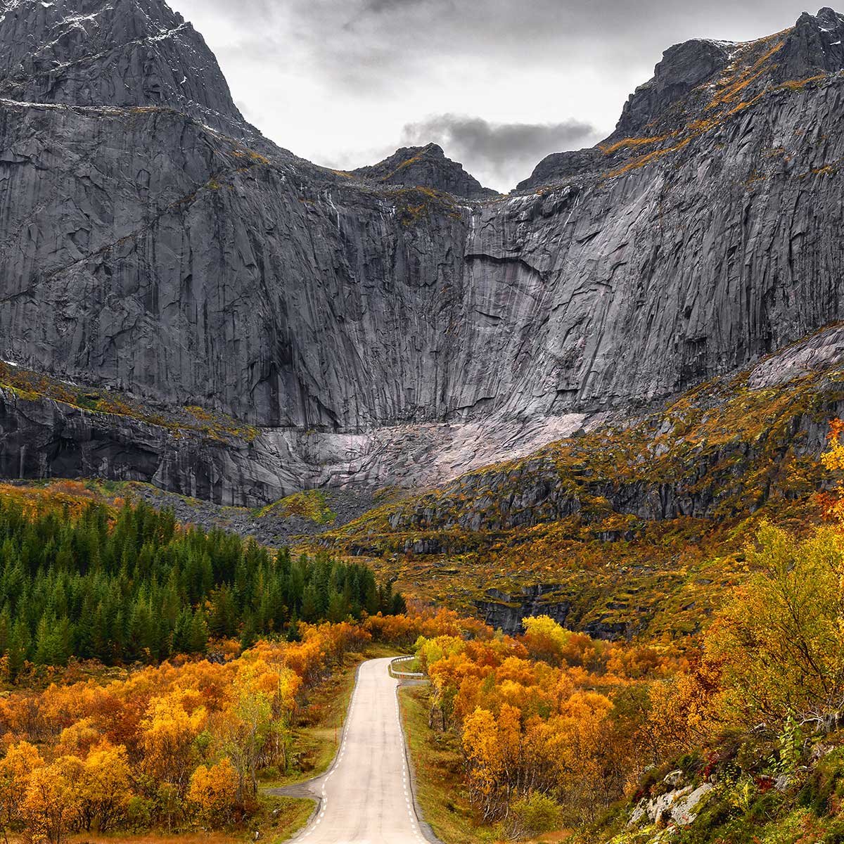 Tableau Lofoten, Face au mur tableau alu dibond, HEXOA