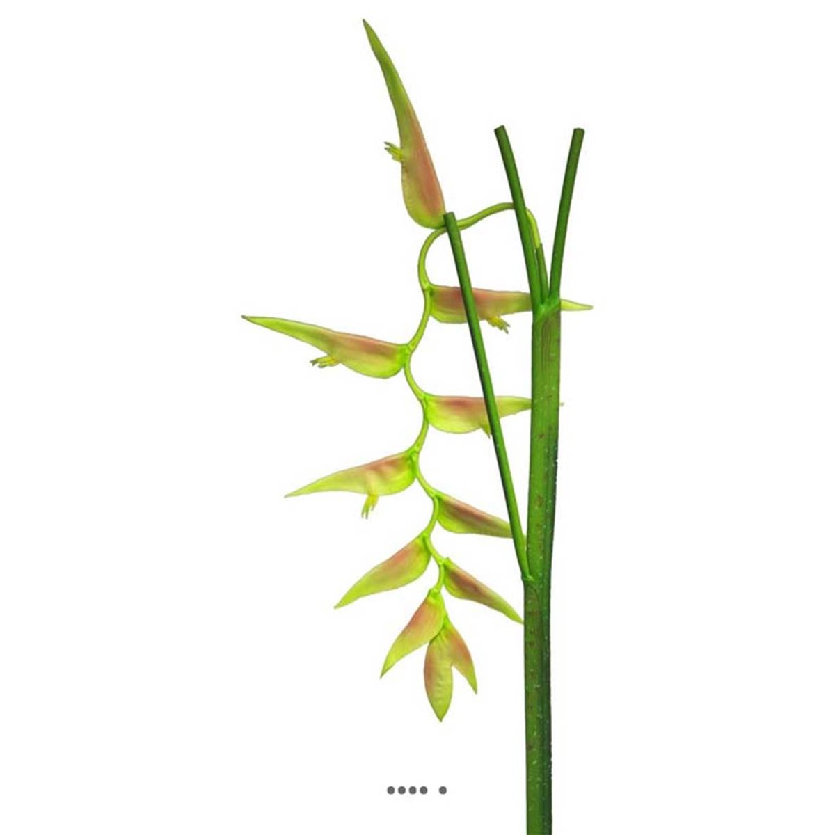 Branche d’Heliconia Equatorial, L 128 vert-rose, ARTIFICIELLES