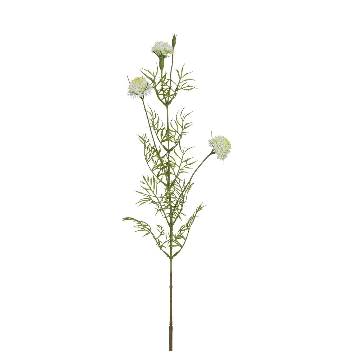 Tige de chrysanthème ping pong artificielle H78 LES ESSENTIELS blanc, SIA