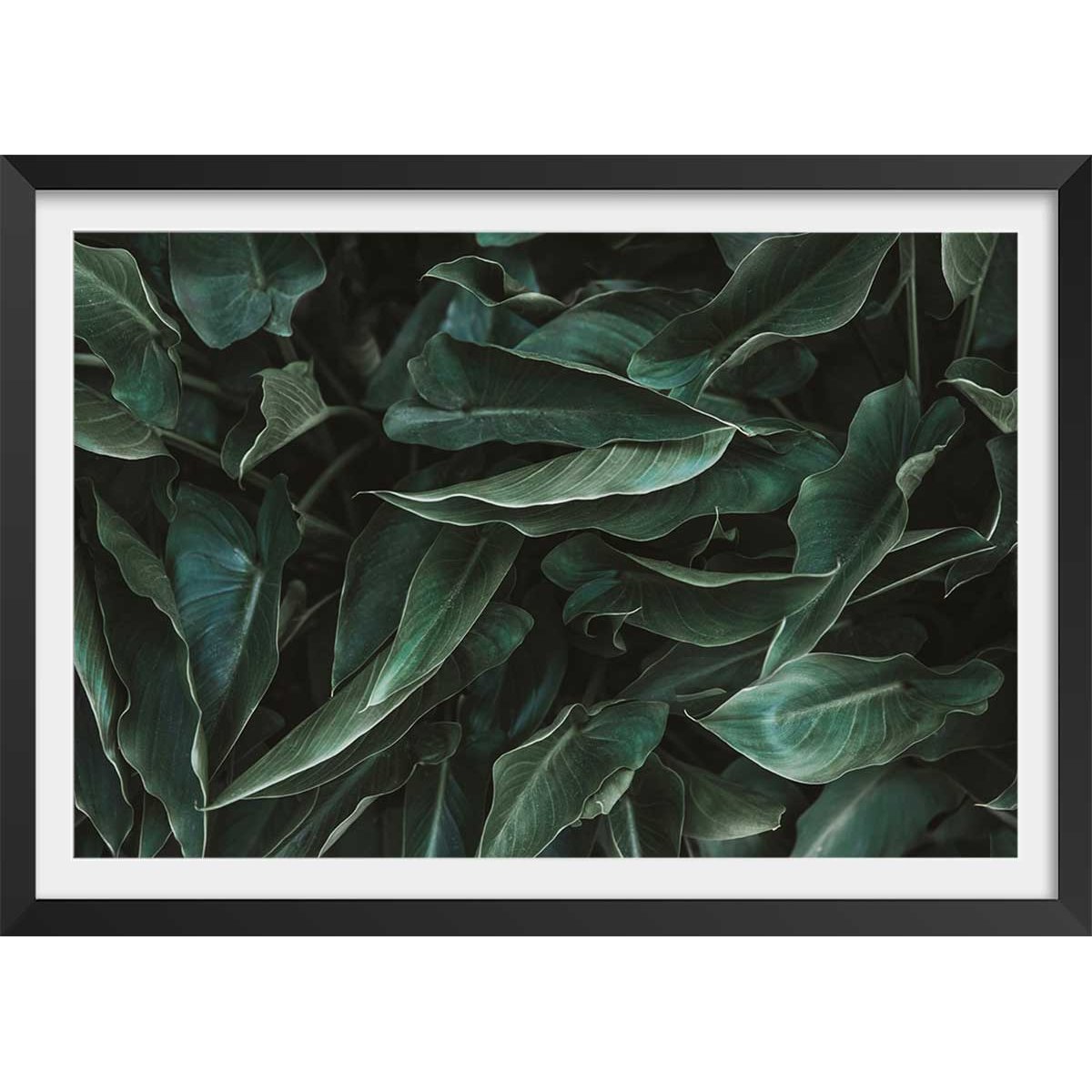 Affiche green leaves affiche + cadre en bois - noir, HEXOA