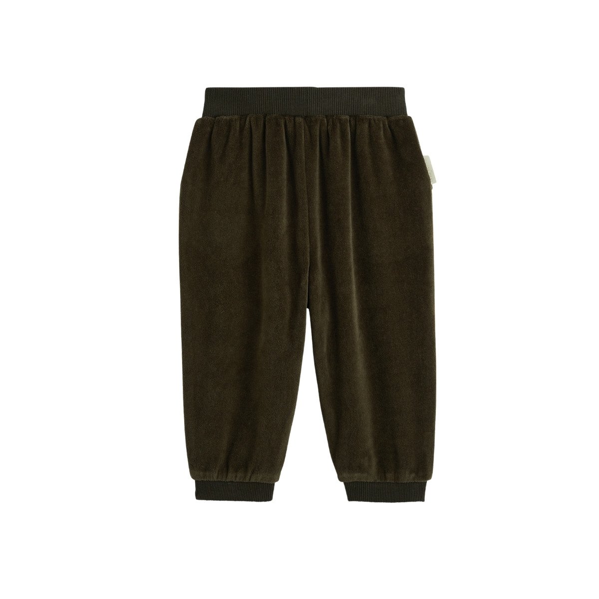 Pantalon bébé en velours Ginkgo vert, PETIT BEGUIN