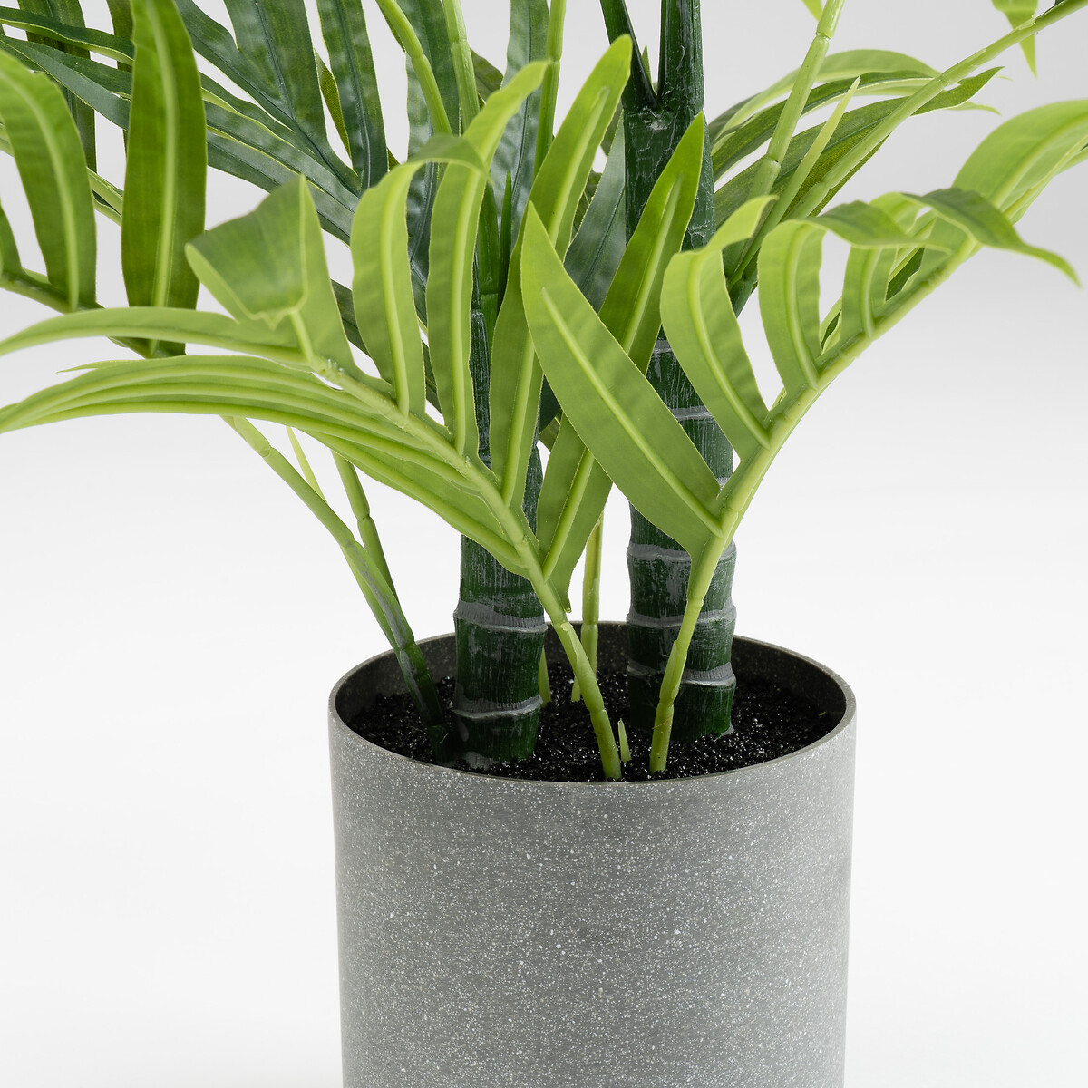 60cm Palm Tree green, SO'HOME