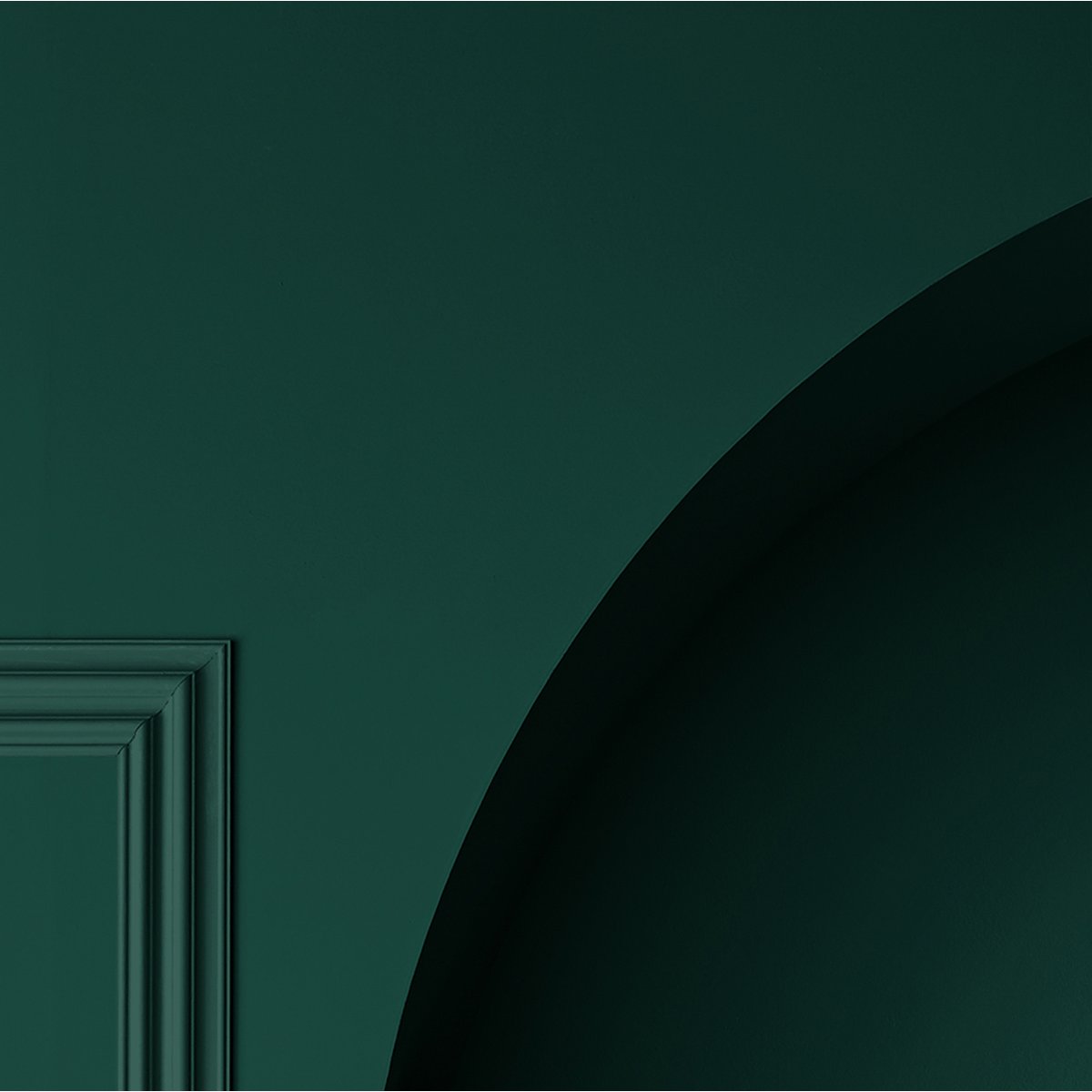 Peinture murale mate lessivable, tous les verts vert sapin, GRAHAM ET BROWN