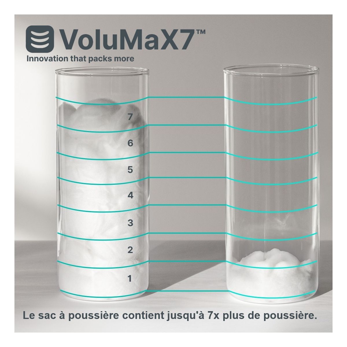 Sac aspirateur pour modèle BX7 couleur unique, THOMAS