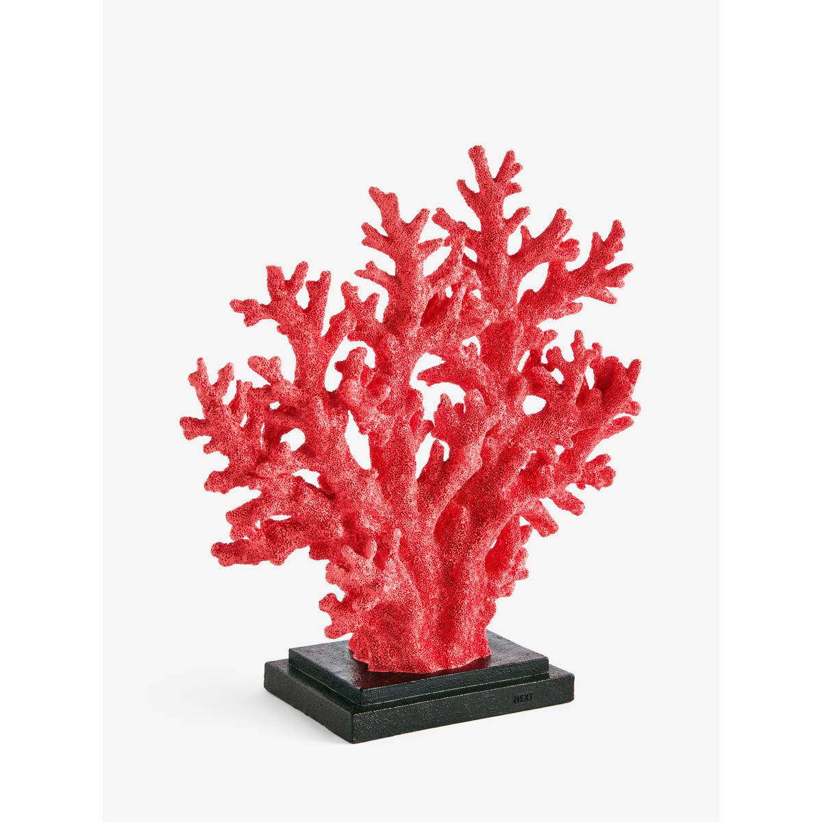 Sculpture de corail rose, NEXT