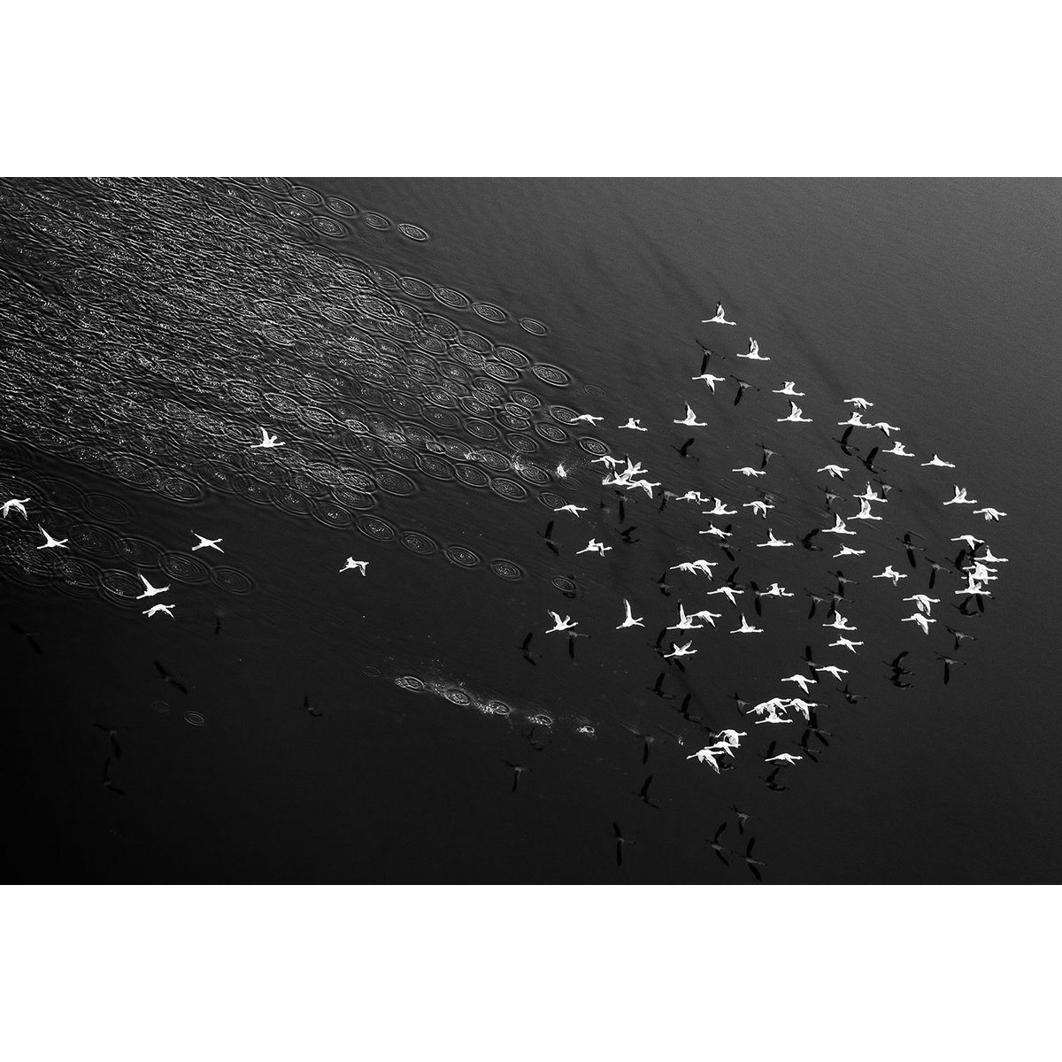 Tableau Take off tableau alu dibond, HEXOA
