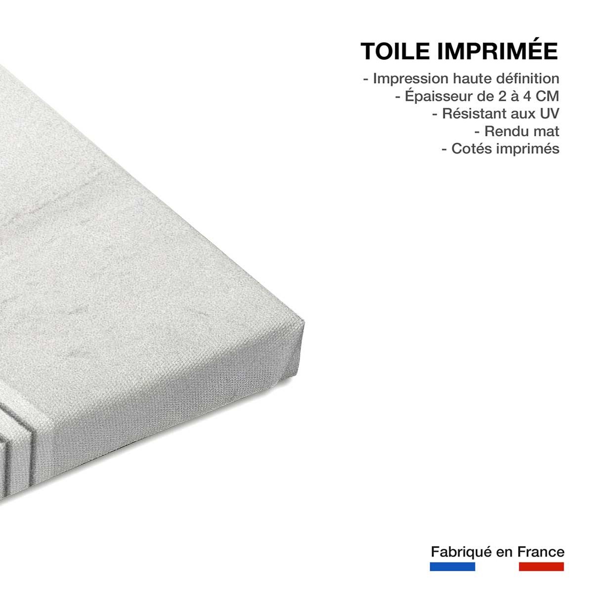 Tableau Belmondo et Delon dans Borsalino toile imprimée, HEXOA