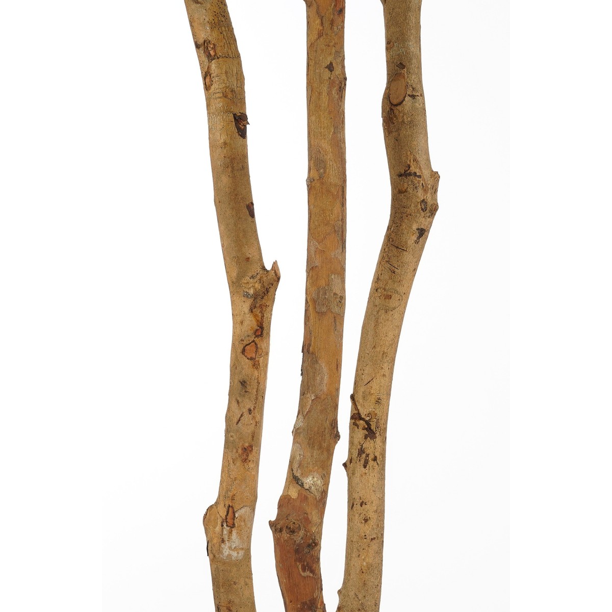 Plante artificielle de monstera vert, MICA DECORATIONS