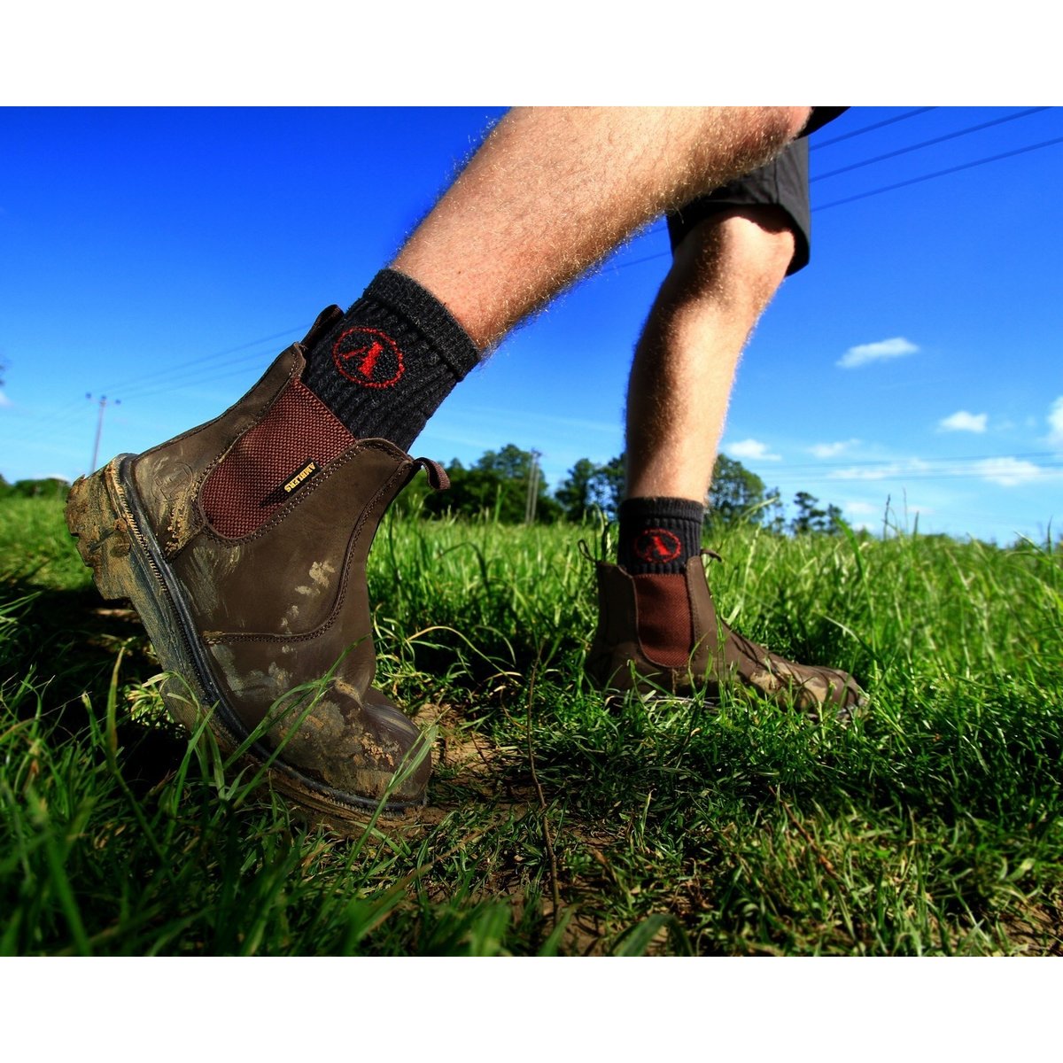 Chaussures de sécurité à enfiler STEEL marron, AMBLERS SAFETY