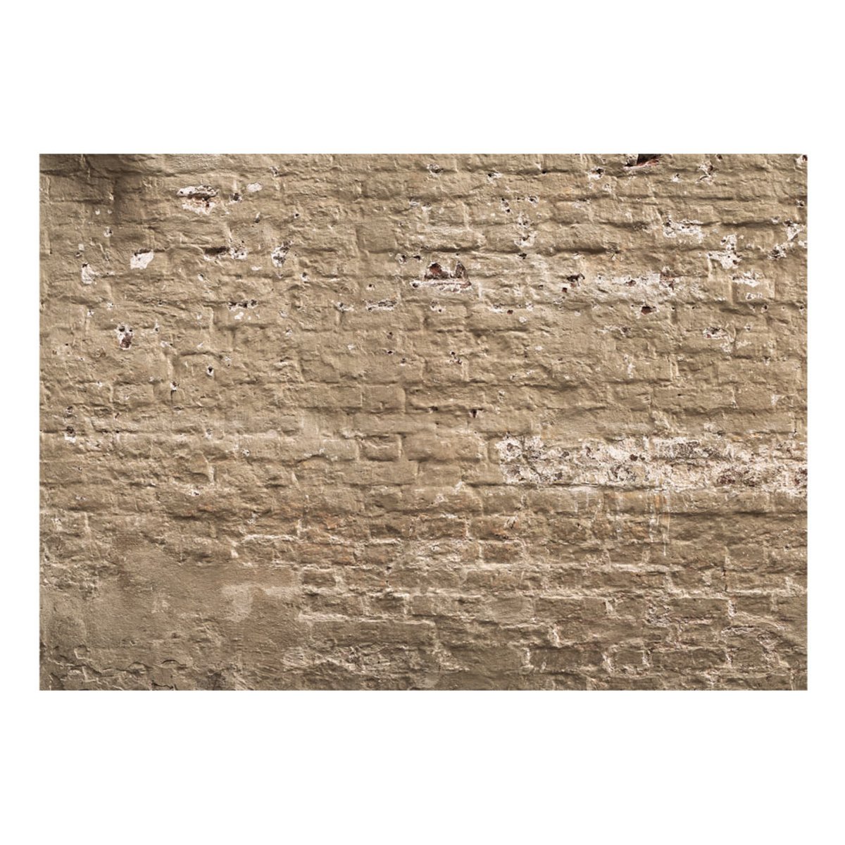 Papier peint intissé panoramique Urban Oasis beige, EDEN