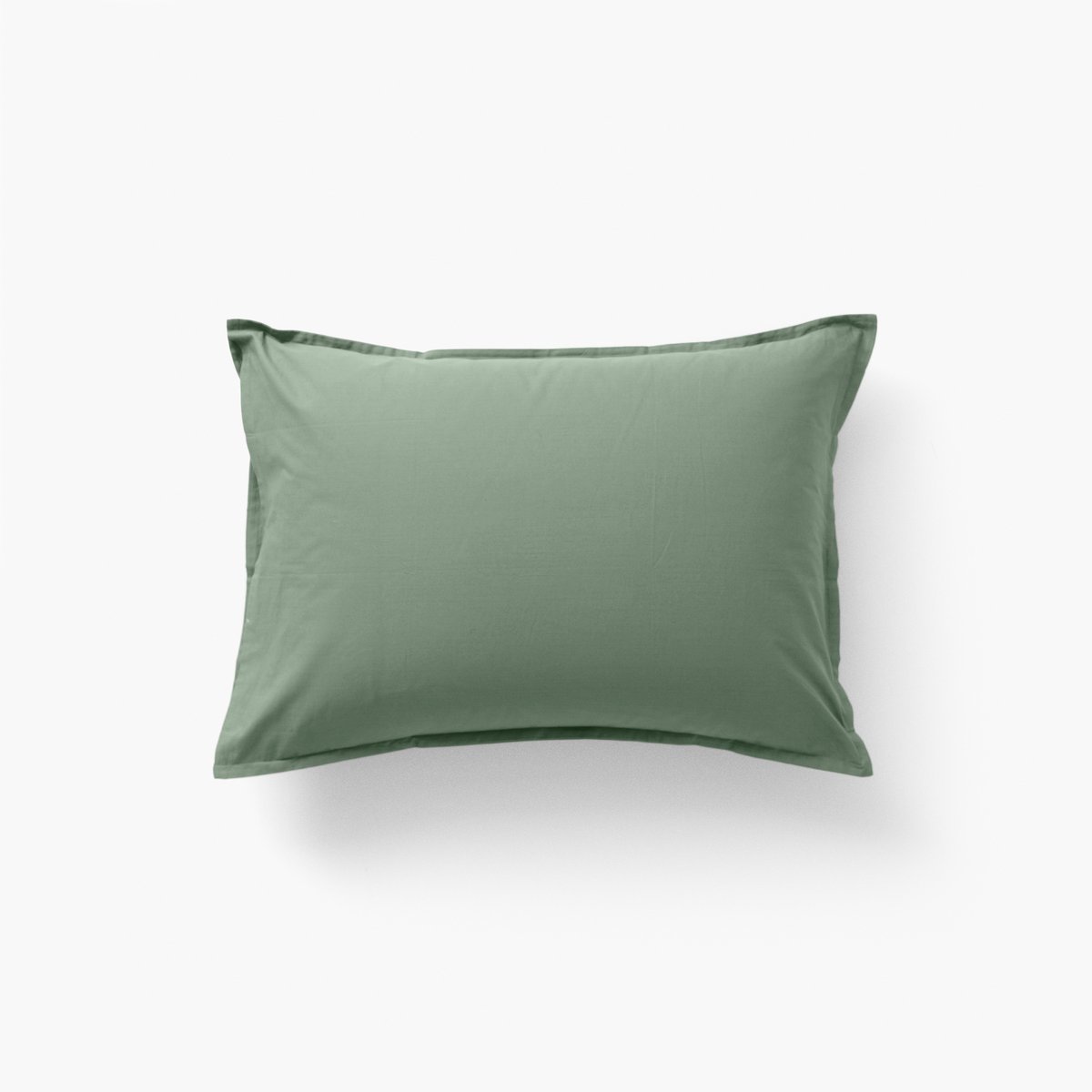 Taie d'oreiller rectangulaire coton NÉO thym, CARRE BLANC