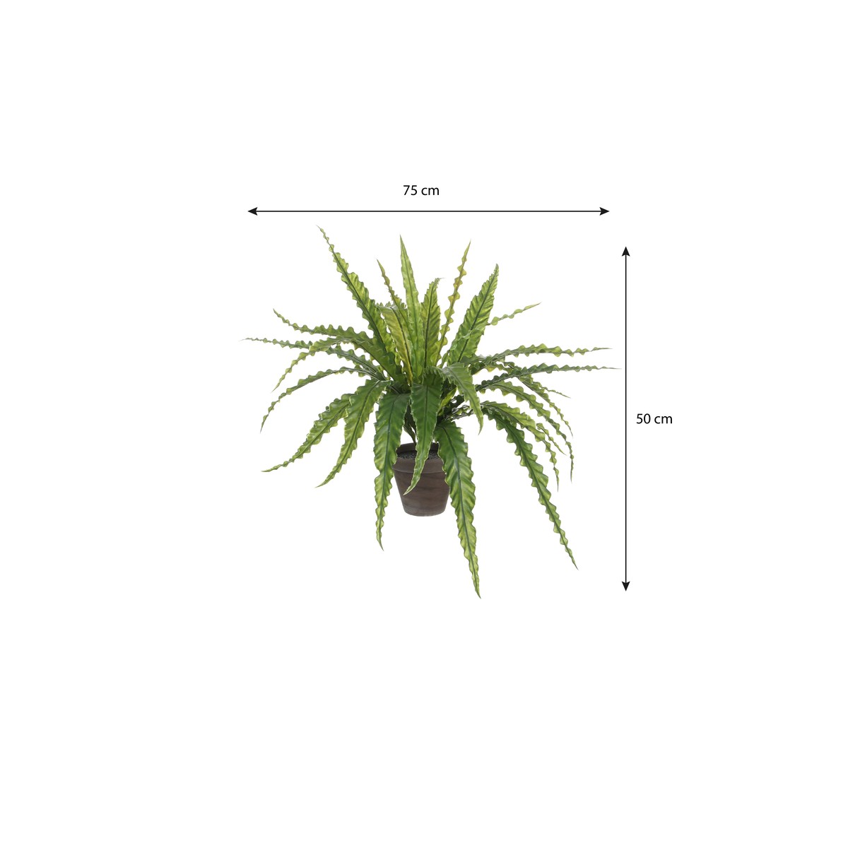 Plante artificielle ASPLENIUM vert, MICA DECORATIONS