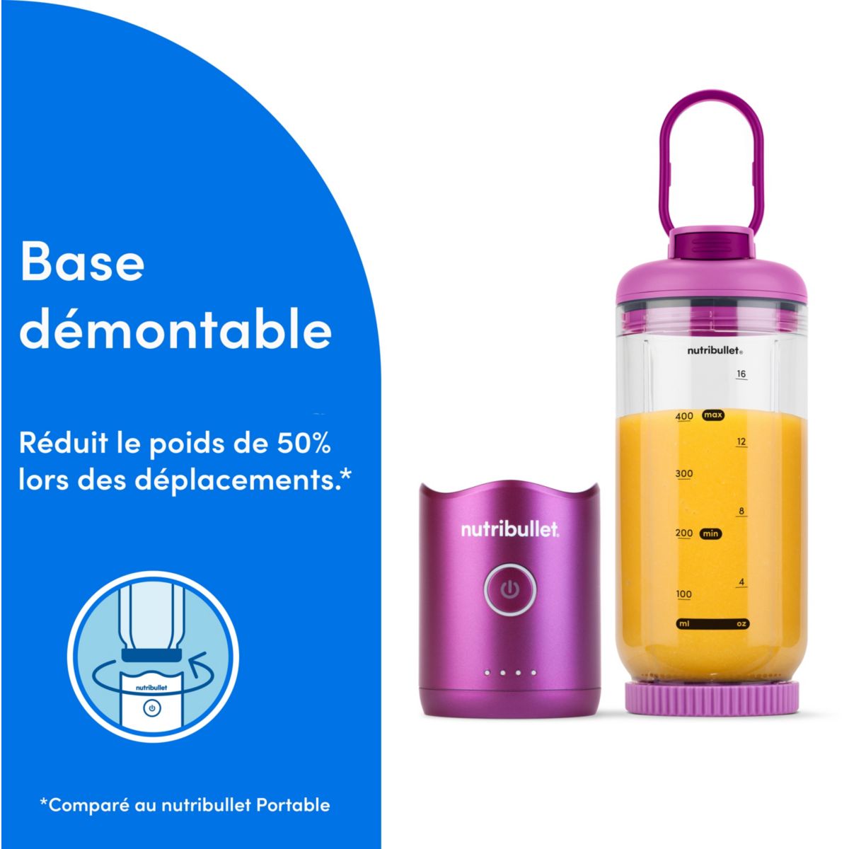 Blender FLEX - Berry NBP013VT couleur unique, NUTRIBULLET