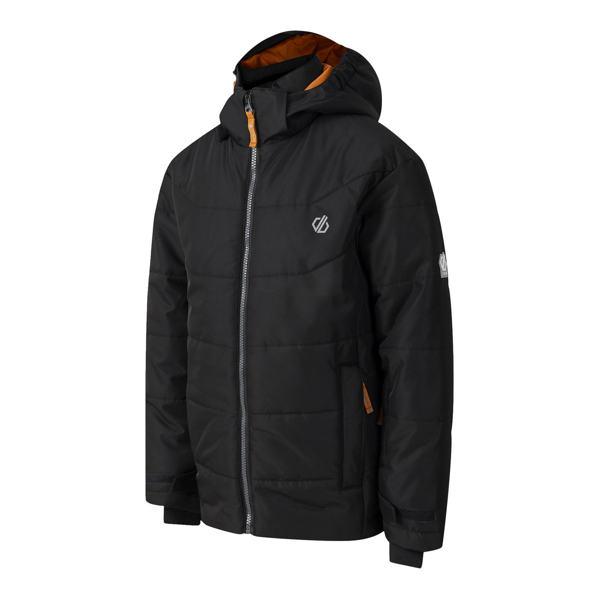 Blouson de ski EXPLORE noir, DARE 2B