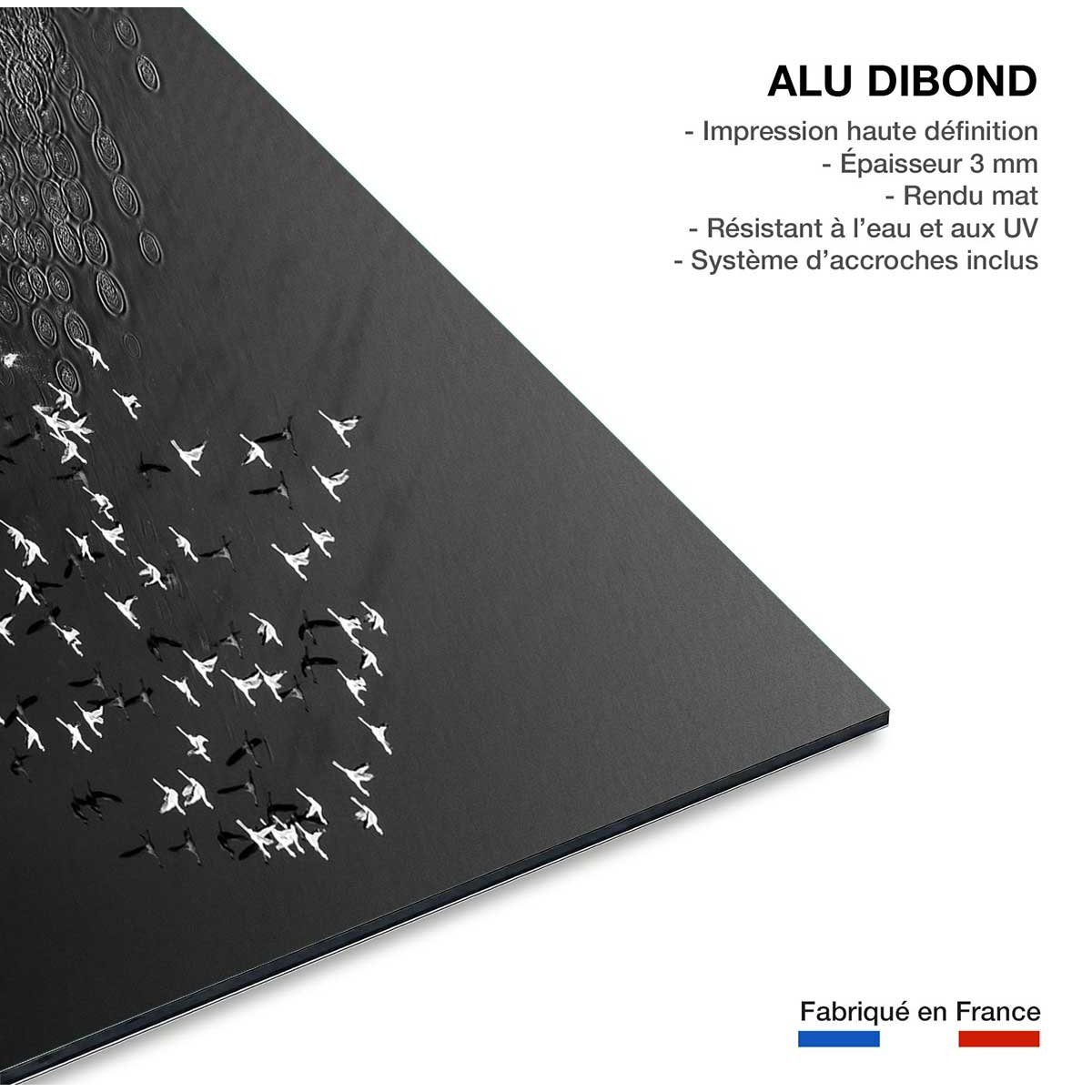 Tableau Take off tableau alu dibond, HEXOA