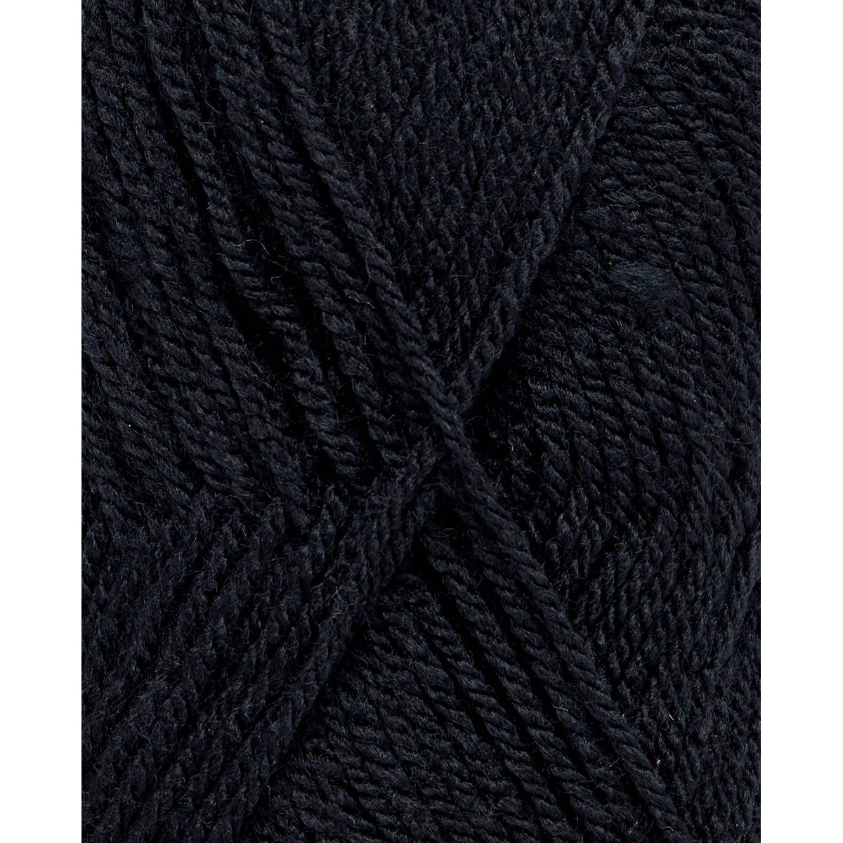 Pingorex v002239, PINGOUIN