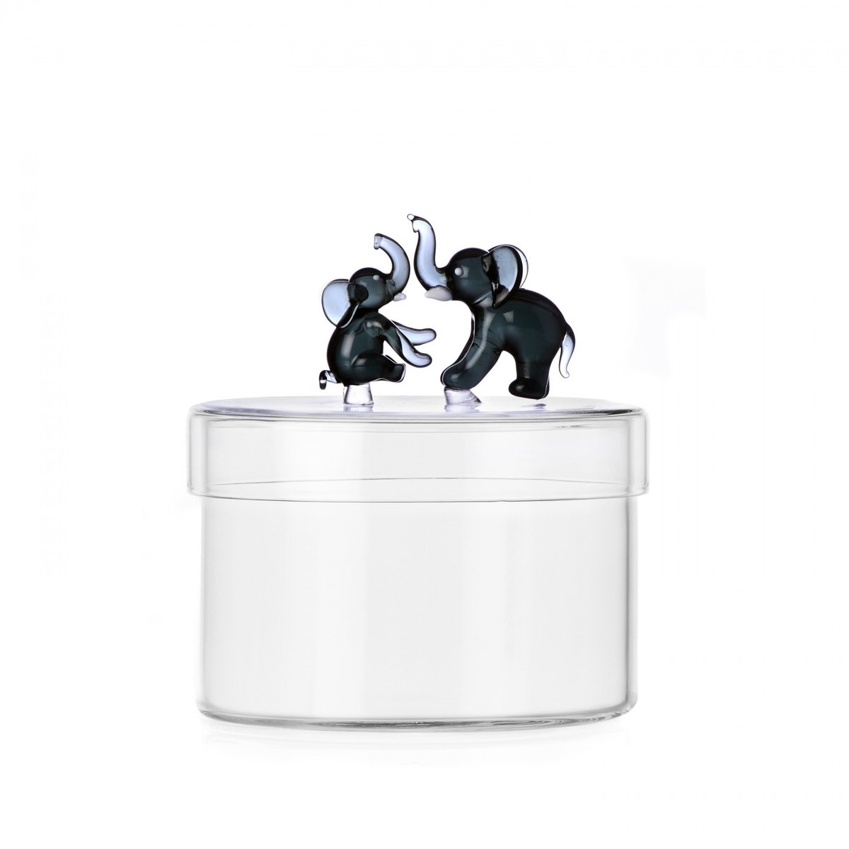 Boite Bonbonnière Elephant Tender Ties transparent, ICHENDORF