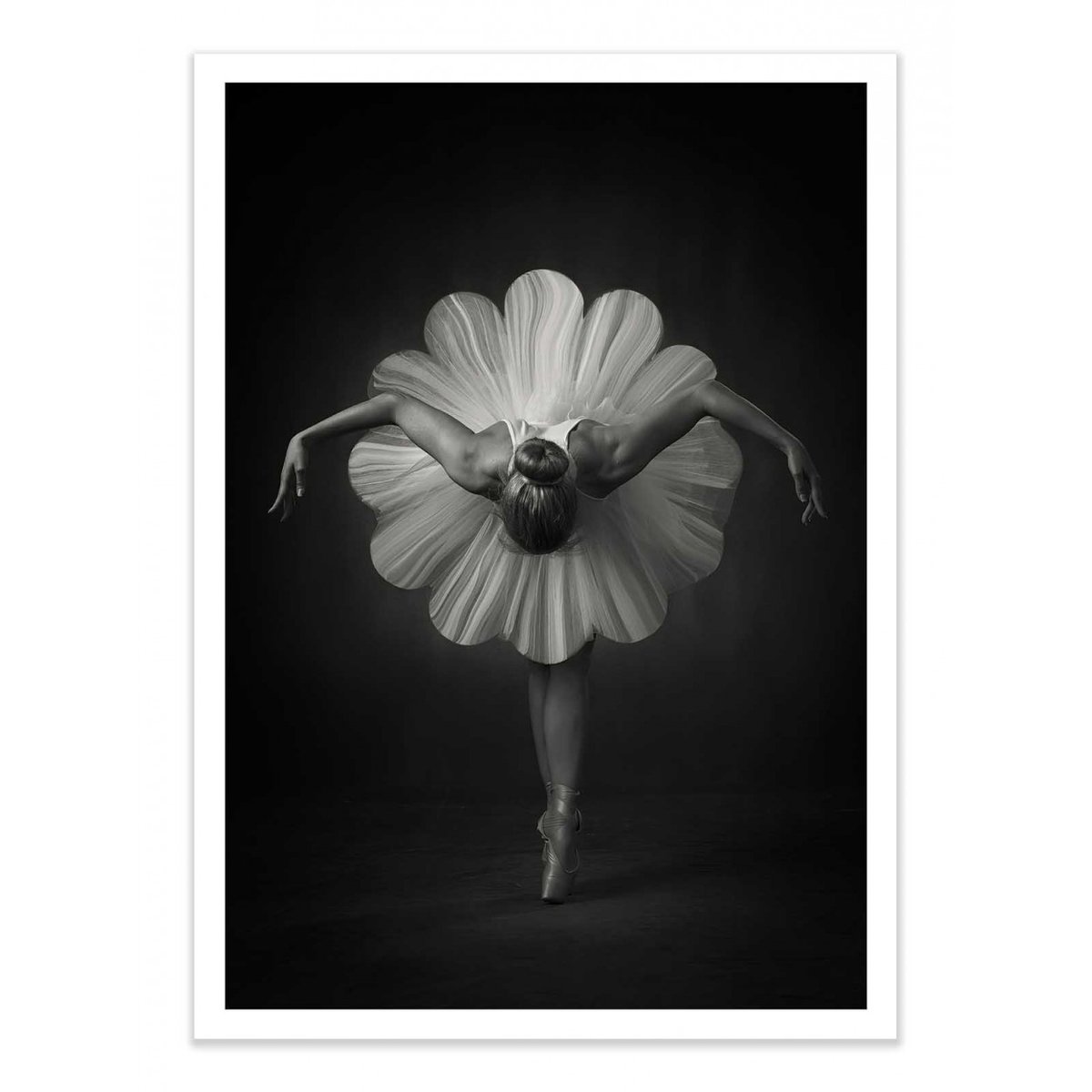 Affiche d’art et cadre noir 50 x 70 cm - Floral Ballet - Catchlight Studio affiche d'art, WALL EDITIONS