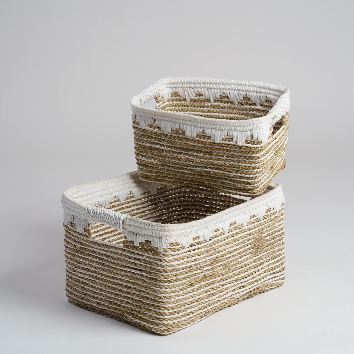 Lot de 2 paniers de rangement rectangulaire XL-M CATY blanc, WANDA COLLECTION