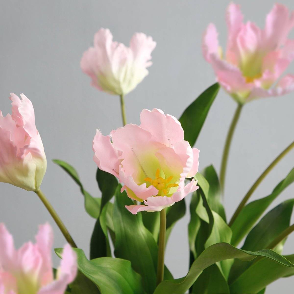 Tige de tulipe perroquet artificielle H63 rose, SIA DECO