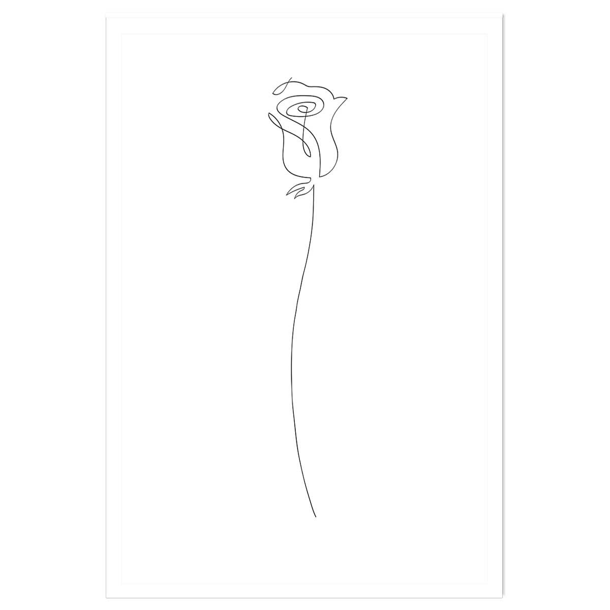 Affiche Bouton de rose Croquis affiche seule, HEXOA