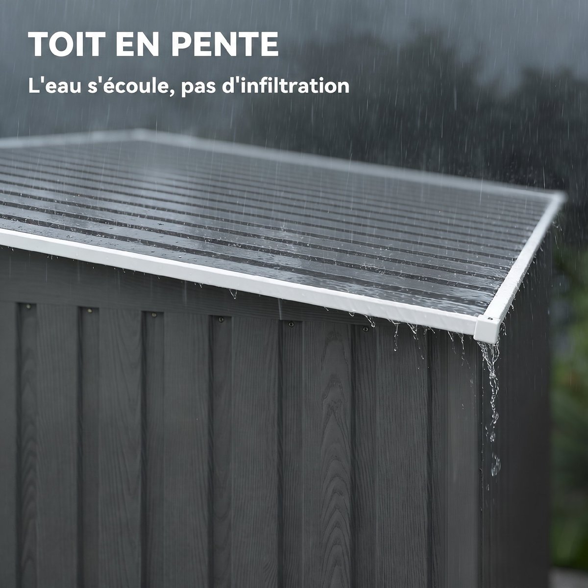 Abri de jardin Acier galvanisé gris clair, OUTSUNNY