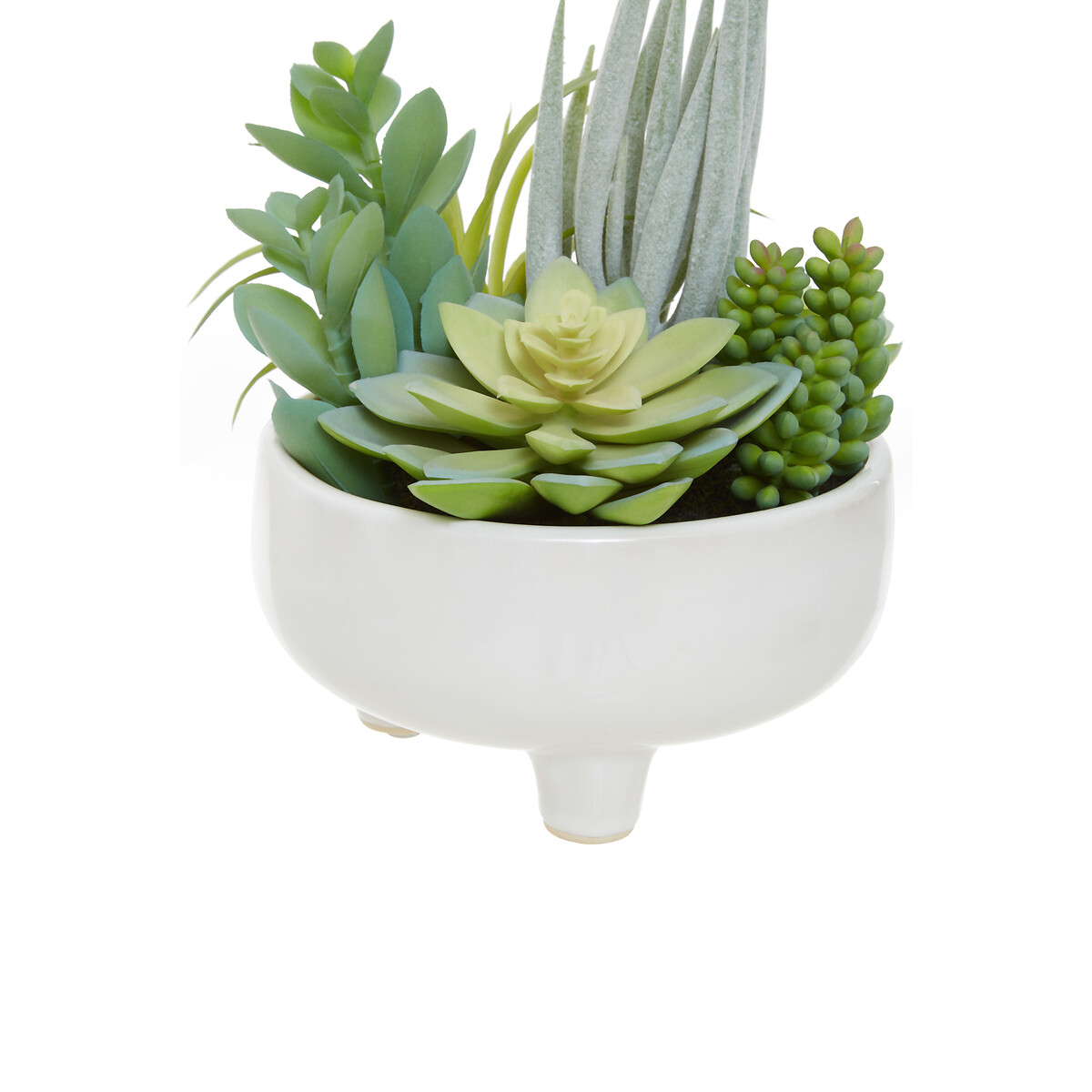 24cm Artificial Fiori Mixed Succulent in White Ceramic Pot green, ÉDITÉ