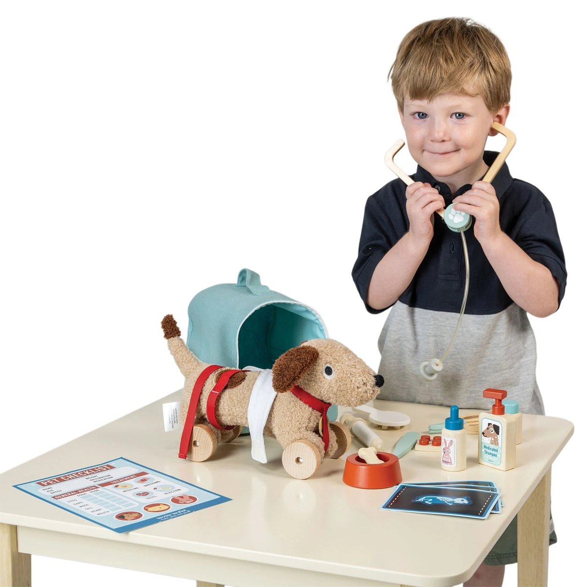 Kit transport vétérinaire multicolore, TENDER LEAF TOYS