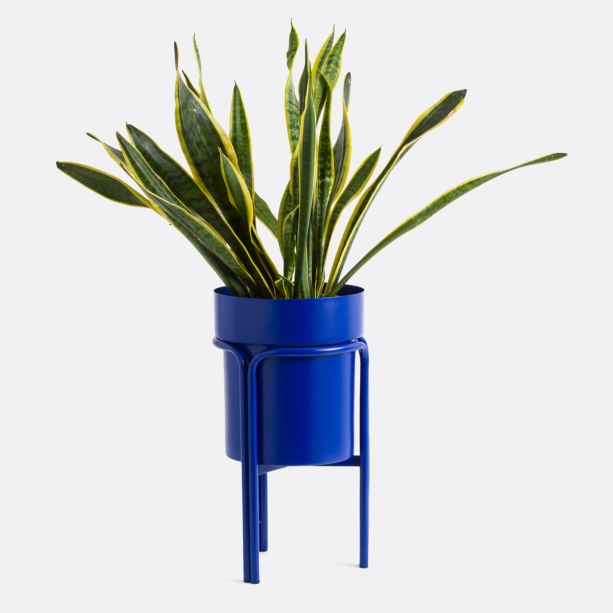 Cubretiestos con pie de hierro, al. 50 cm, Ocardo azul fuerte, LA REDOUTE INTERIEURS