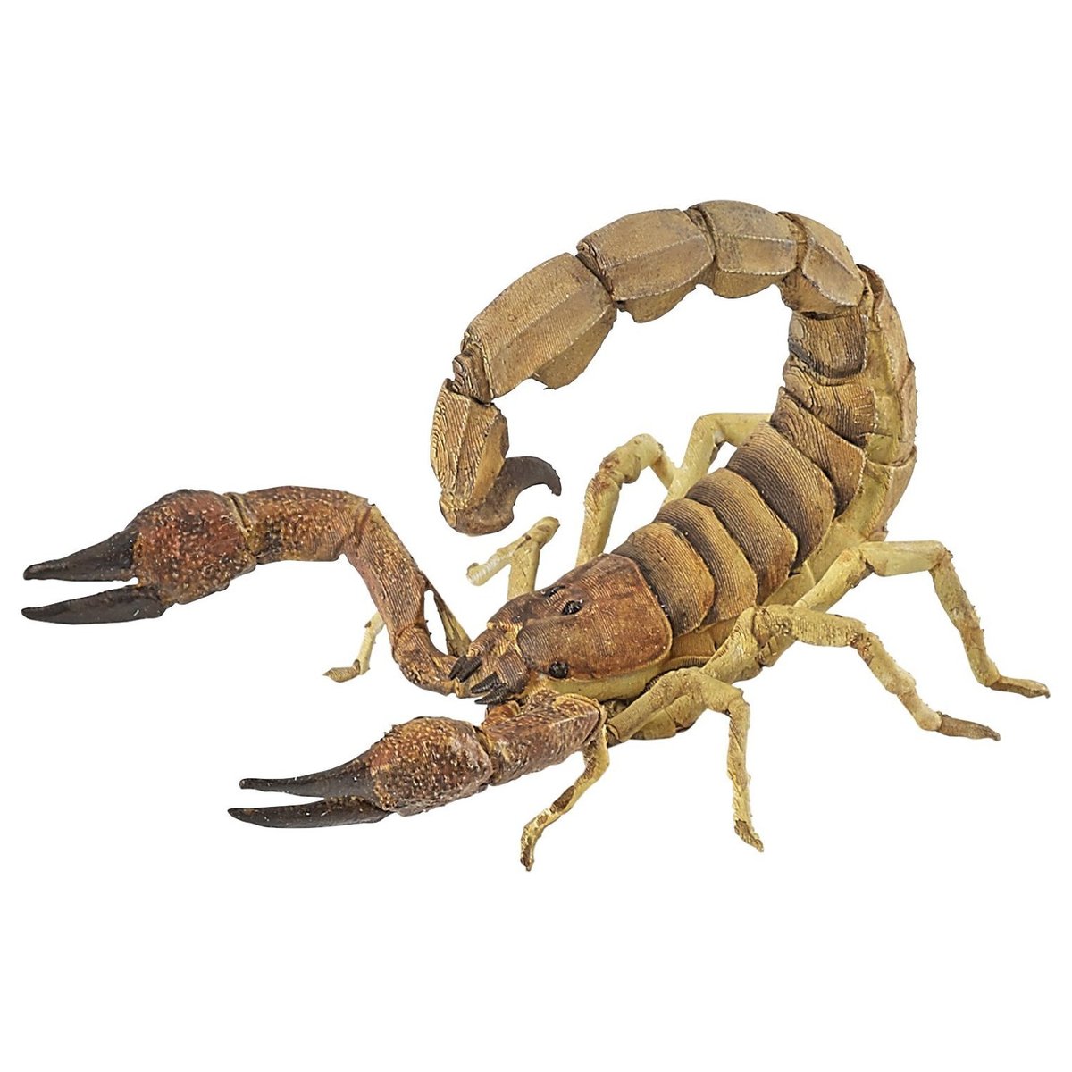 Figurine Scorpion marron, PAPO