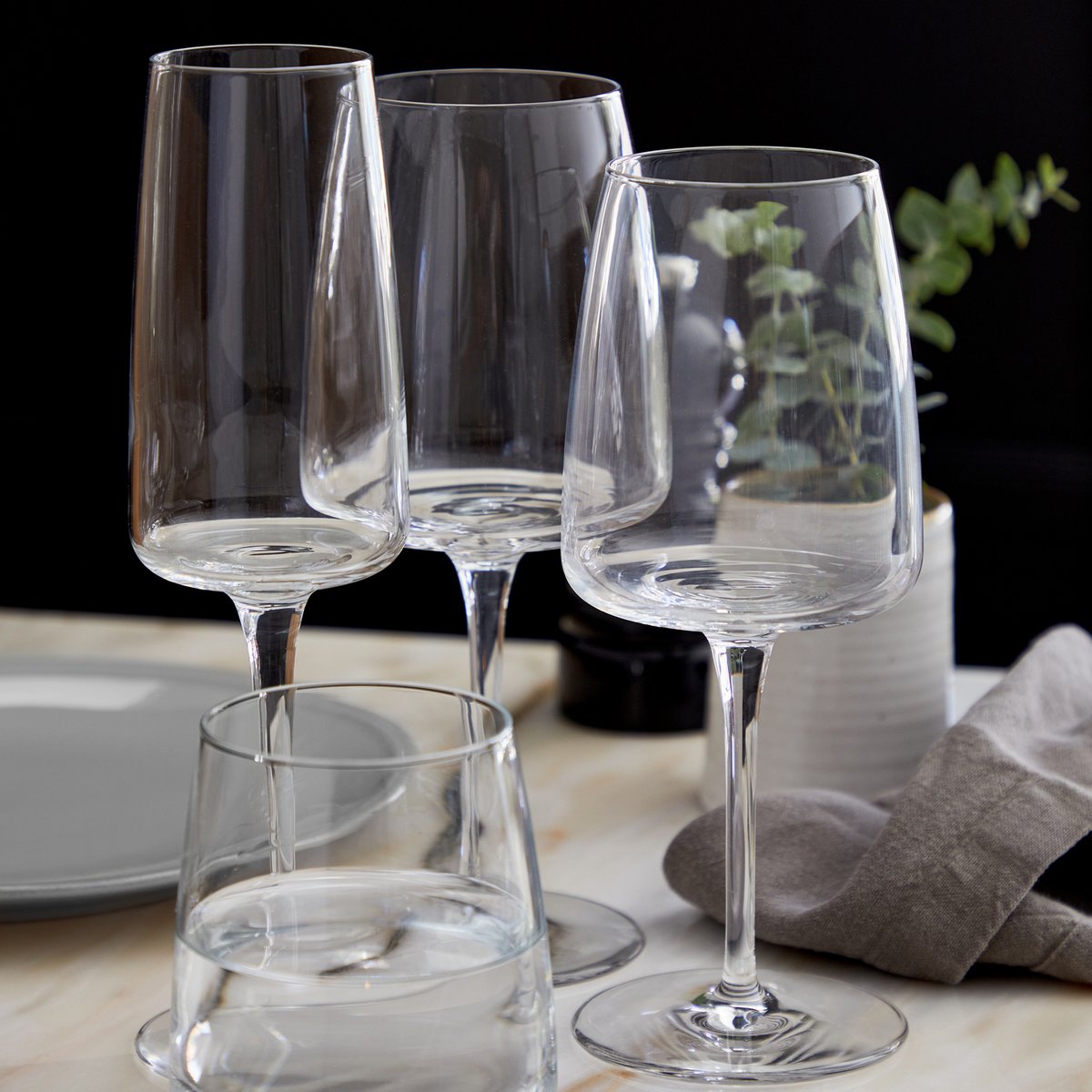 Verre eau 478 ml VINE transparent, COSTA NOVA