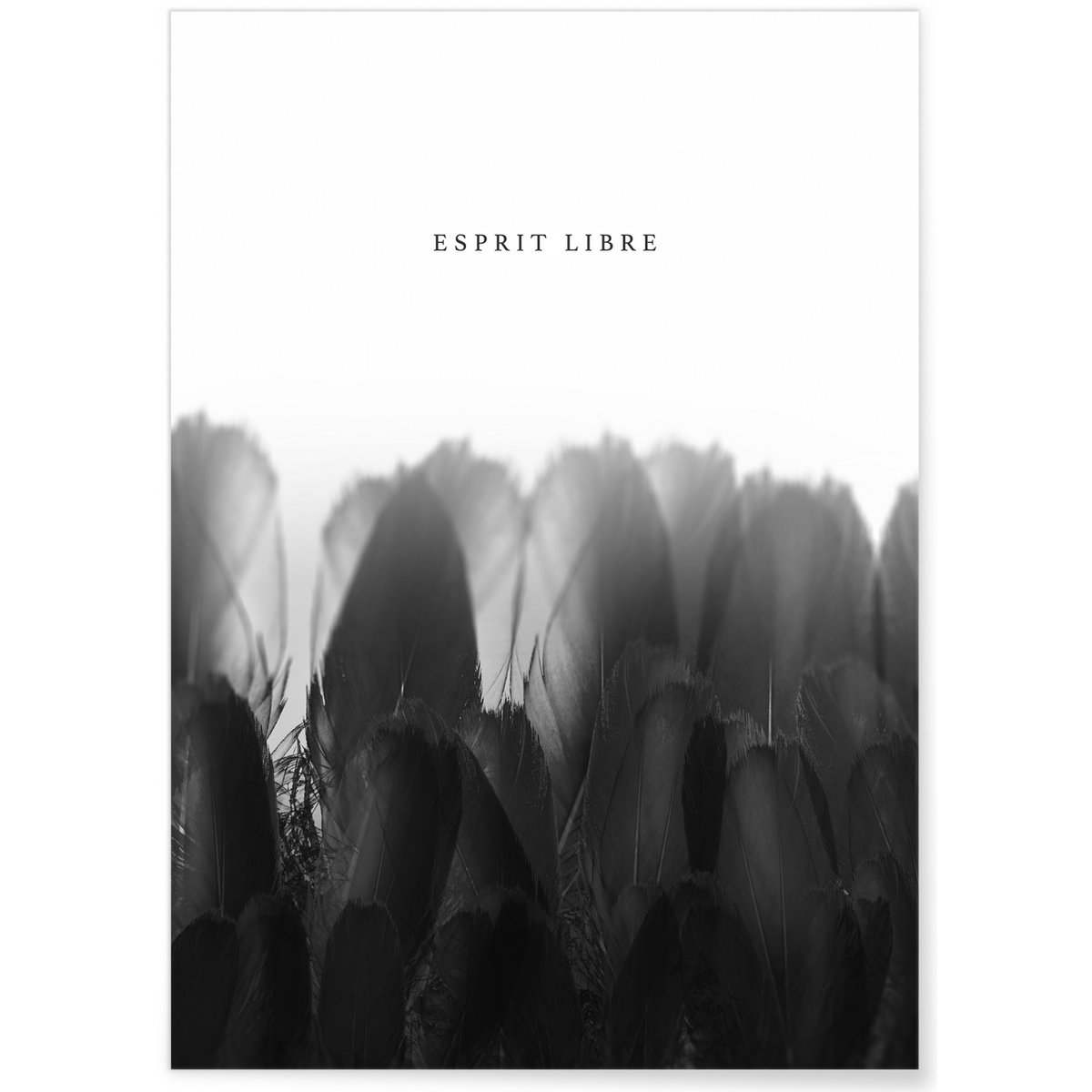 Affiche Esprit Libre blanc, L'AFFICHERIE