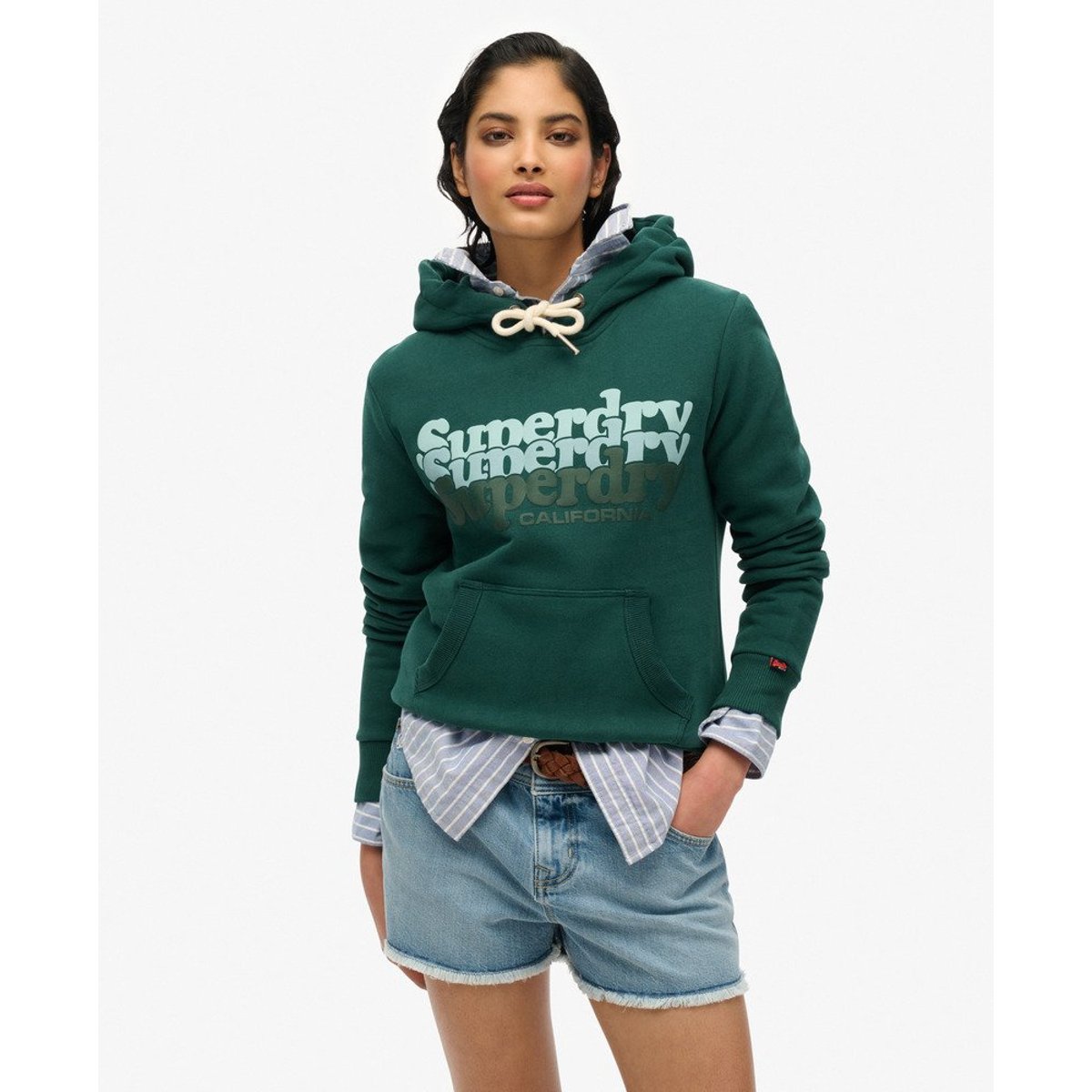 Sweat à capuche Stacked vert pinède foncé, SUPERDRY