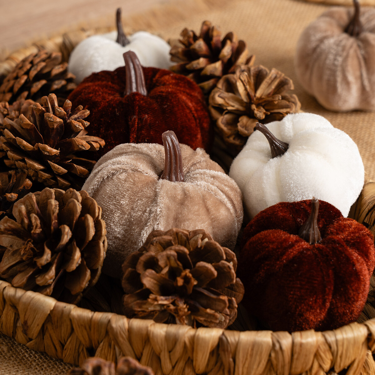 Set of Decorative Velvet Pumpkins & Pinecones with Tray brown , SO'HOME