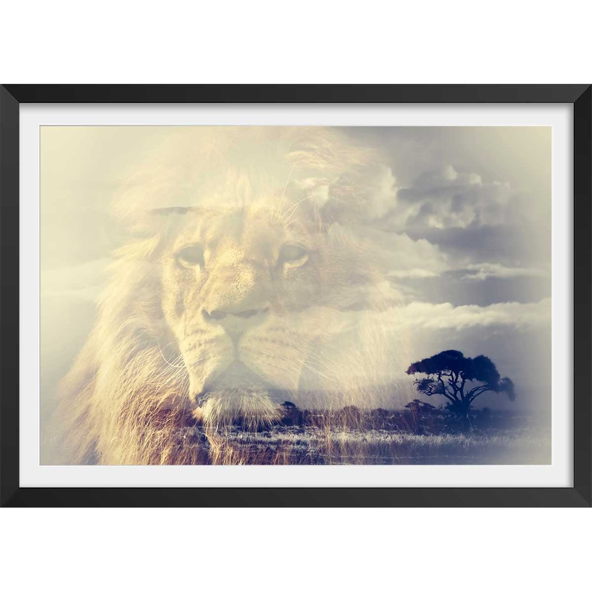 Affiche animaux lion and mount kilimanjaro affiche + cadre en bois - noir, HEXOA