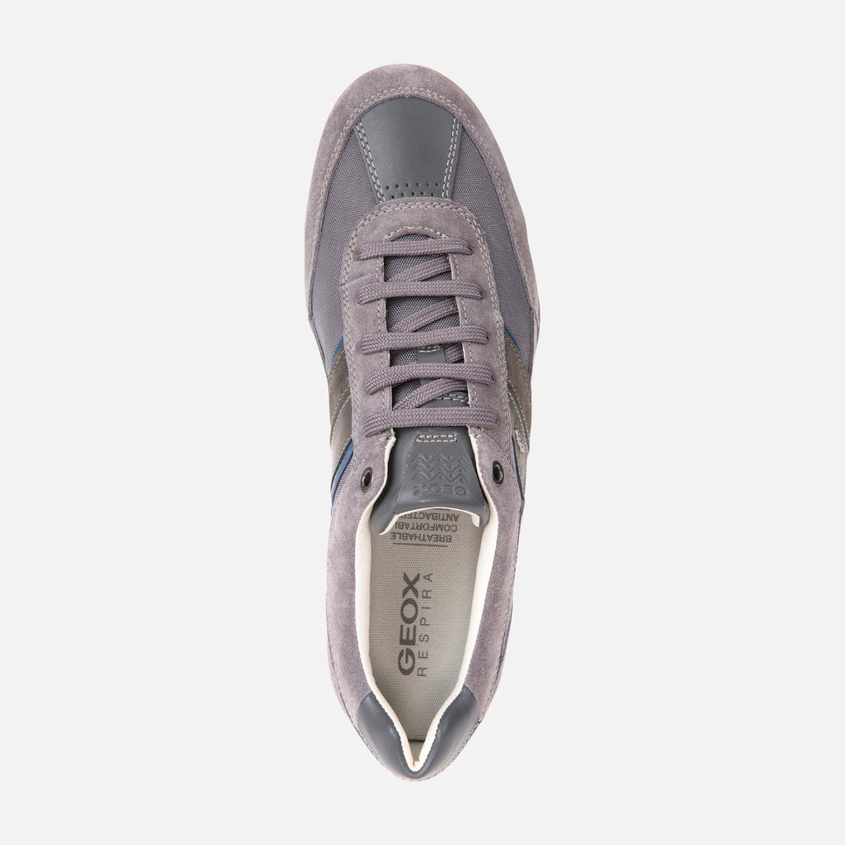 Baskets Wells gris foncé, GEOX