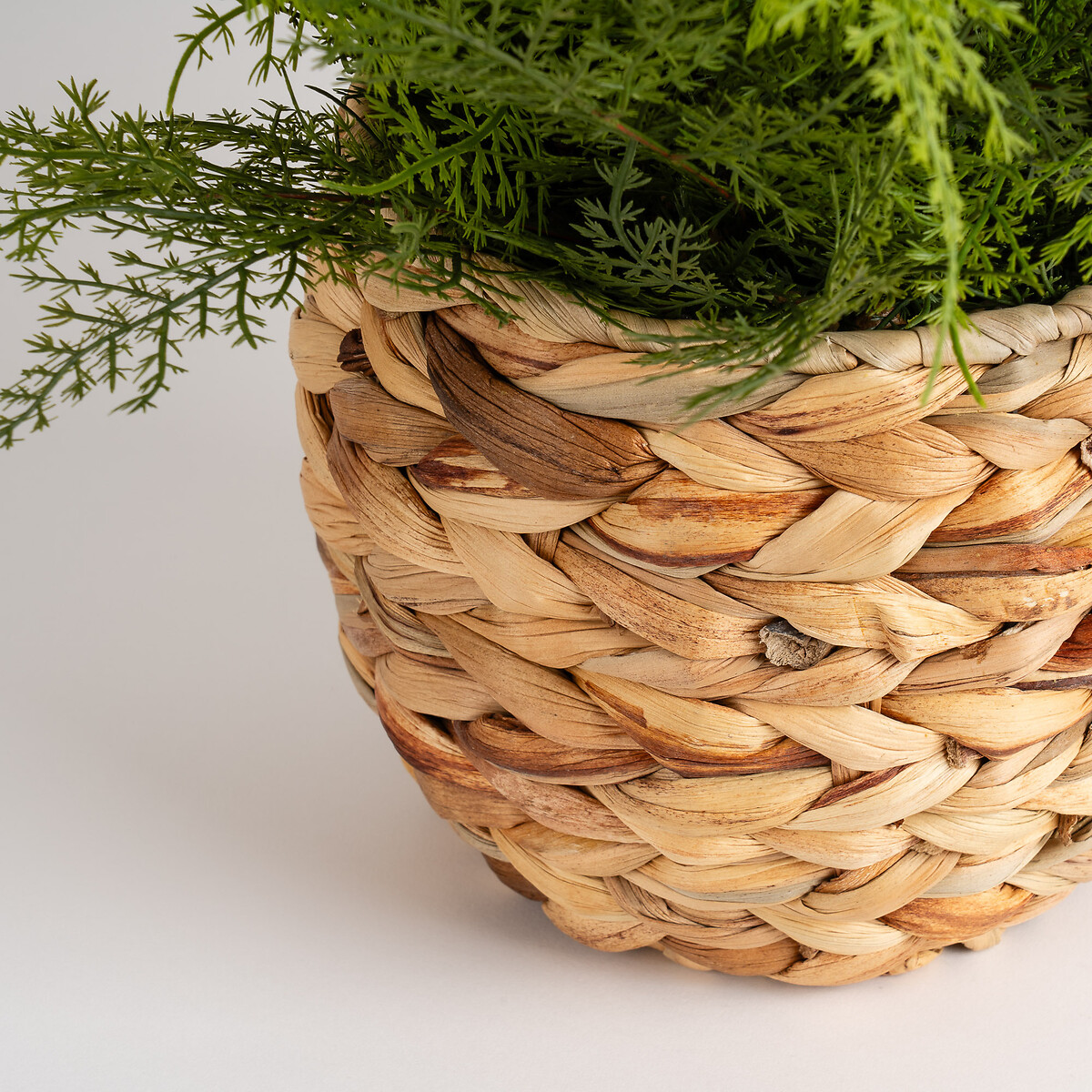 43cm Fern in Basket green, SO'HOME
