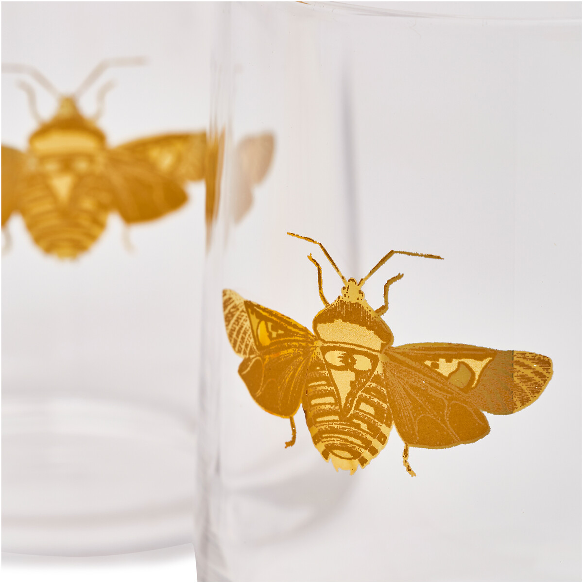 Set of 2 Creatures of Curiosity Tumbler Glasses transparent, SPODE