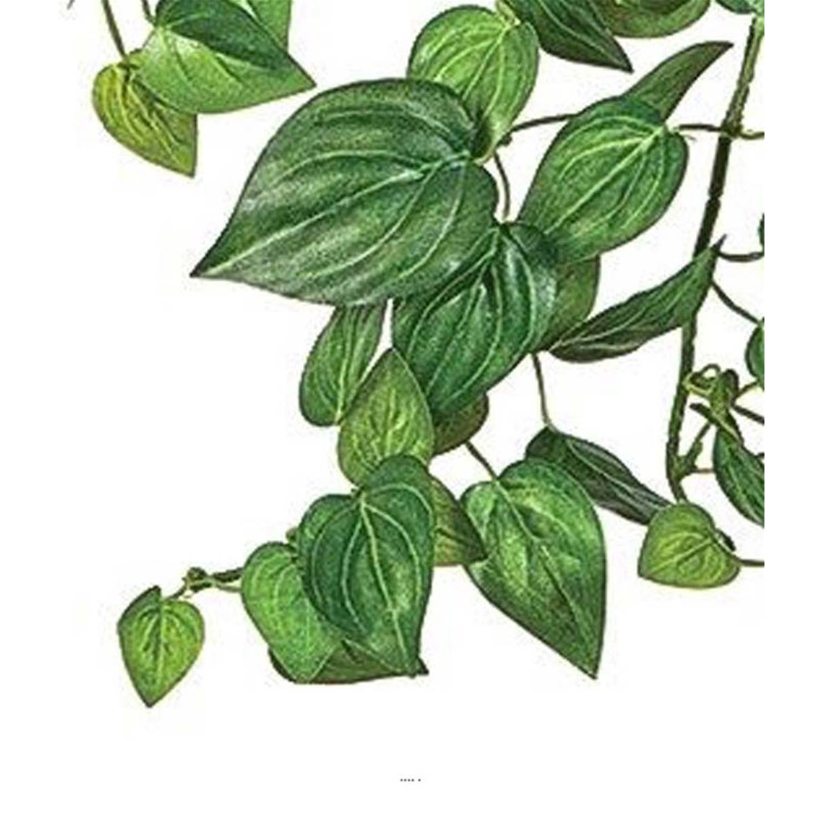Mini chute de philodendron artificiel L 50cm v002239, ARTIFICIELLES