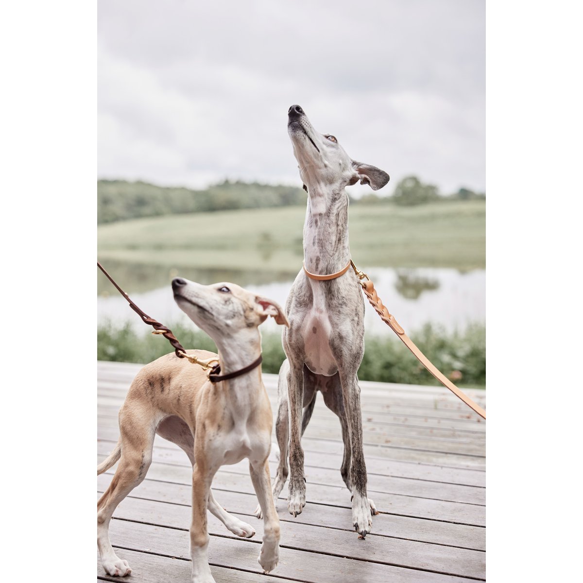 Laisser seul en cuir pour chien LIVING brun, OYOY LIVING DESIGN