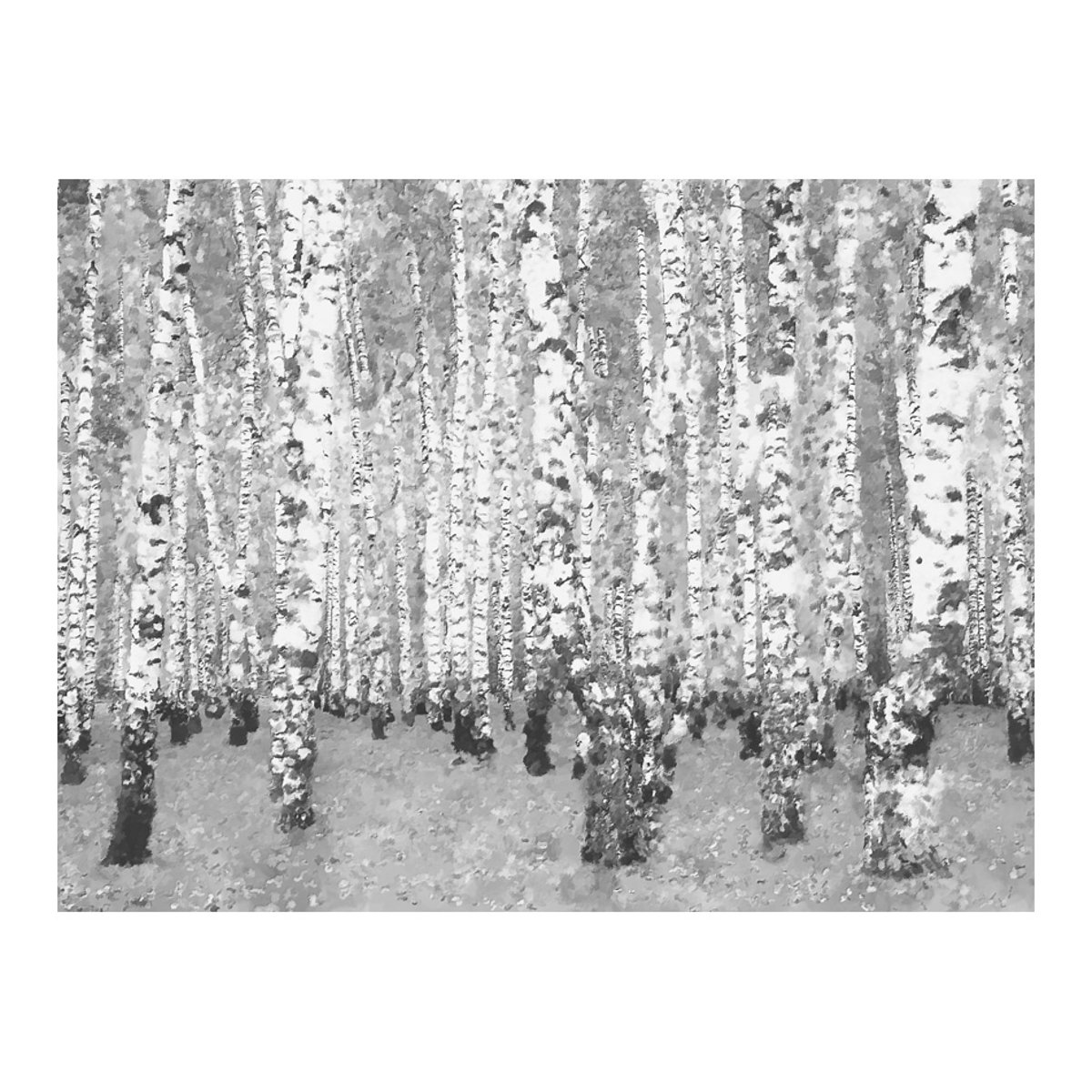 Papier peint intissé panoramique Paysage Birch seclusion gris / argent, EDEN