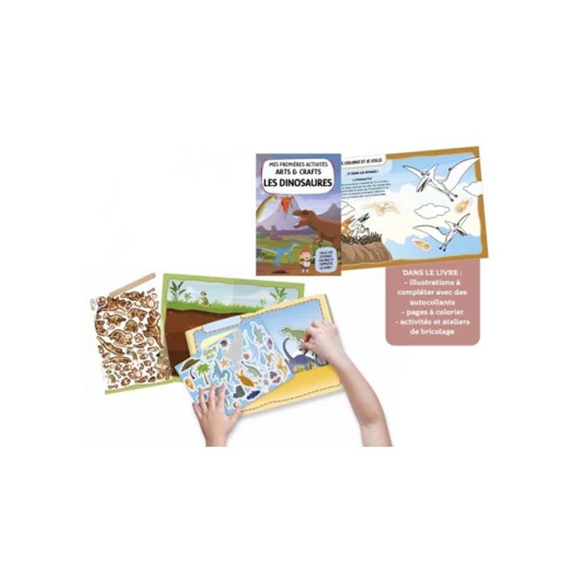Mes premières activités SASSI multicolore, SASSI