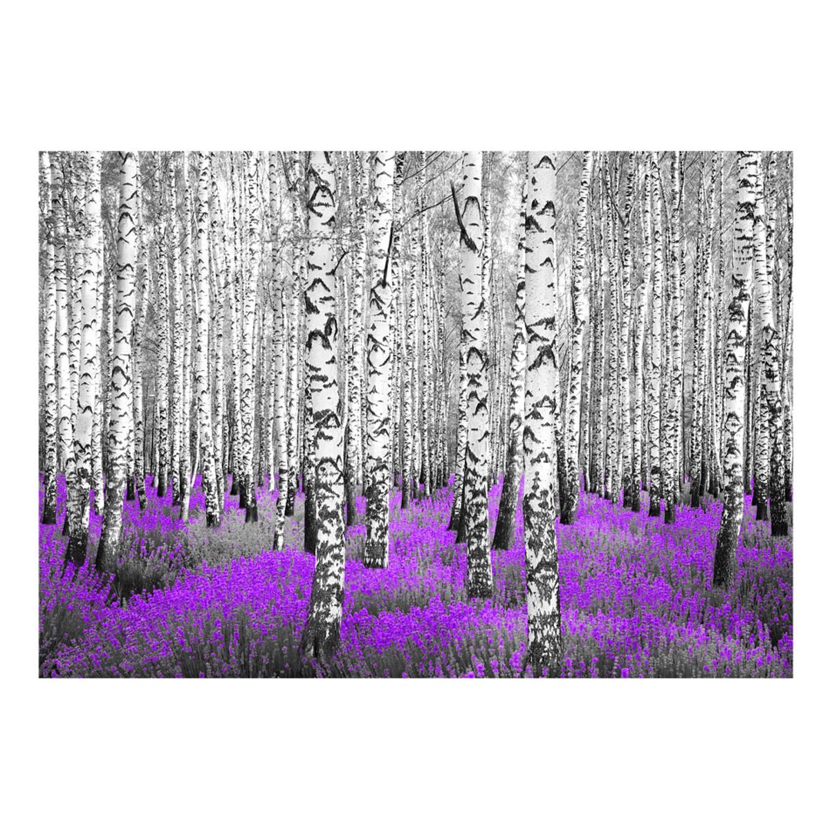 Papier peint intissé panoramique Paysage Purple asylum noir, EDEN